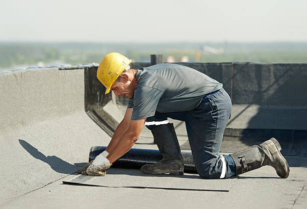 Best Insulation Contractor Near Me  in Elim, PA